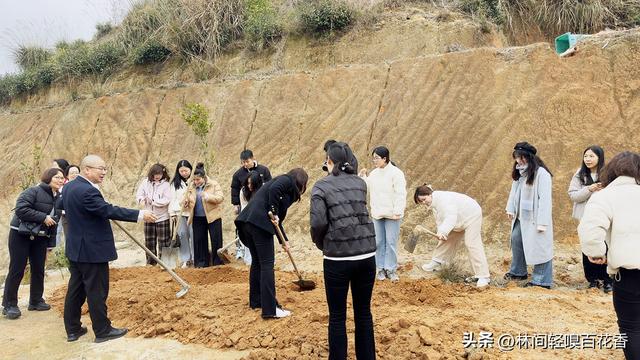 厦门植树节去哪里种树？这份春日指南请收好