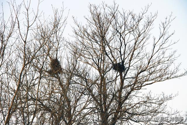 这一次外出闲游感慨颇多