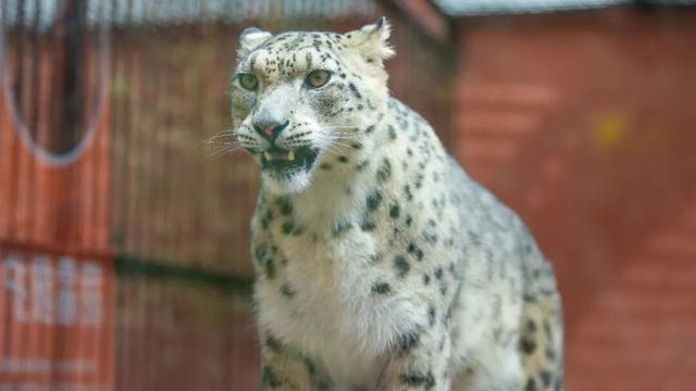 8条精品线路激活西宁冬春旅游