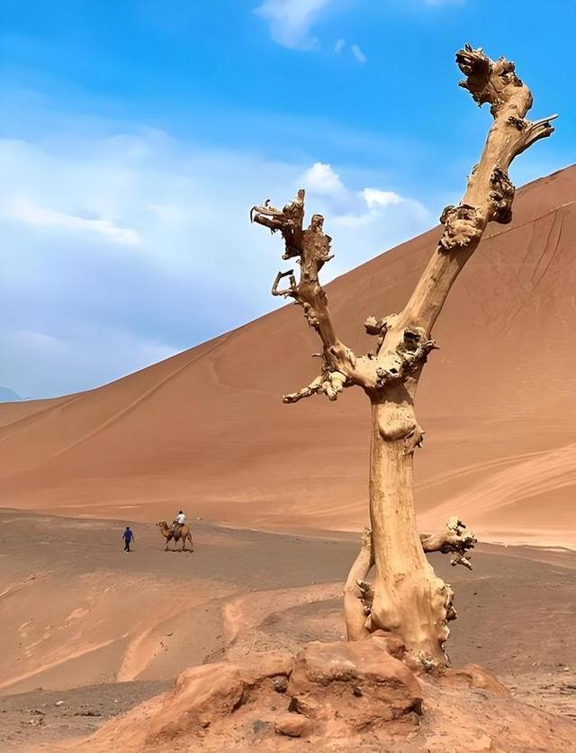 游新疆中国热极火焰山