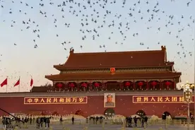 天安门放飞和平鸽外国网友直呼太震撼图片