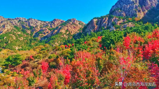 走不出这画了，我已被西海岸的秋景迷倒 🥹