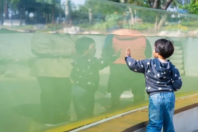 玄武湖惊现"超级大鱼缸",8米玻璃直通湖底,专利技术惊艳全国