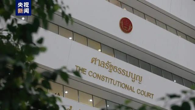 不是恋爱脑！从悬崖爬起到当妈，暖暖是“赌徒”！