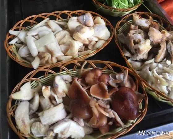 疆藏云贵行67，野生菌