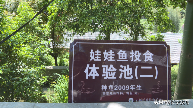 哇😝~宜宾18℃的避暑天堂藏不住了！