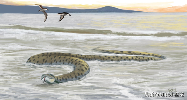 狂蟒之灾：地球生命史上的五大巨蛇全盘点！