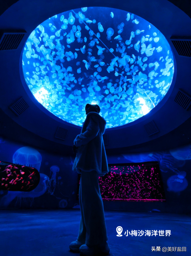 @永州朋友！小梅沙请你免费玩一整年！