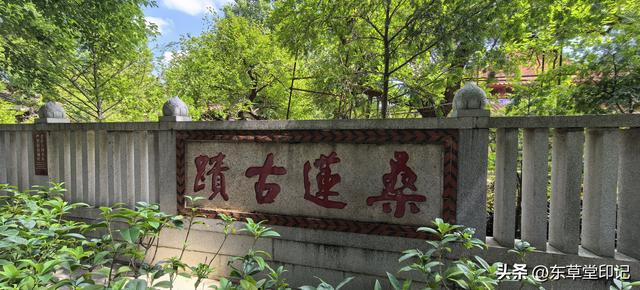 泉州开元寺：一座古寺藏尽千年海丝风华，一场穿越时空的文化盛宴