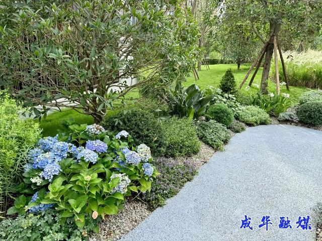 “家门口”又添好去处！这座公园即将开放| 成华融媒