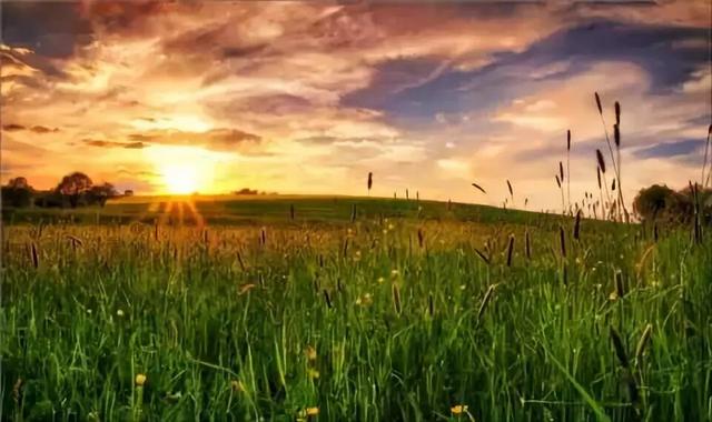 走过千山万水才懂：很多事，走着走着就释怀了