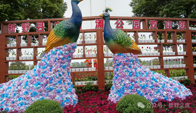 新野白河滩公园即将跻身国家4A级景区