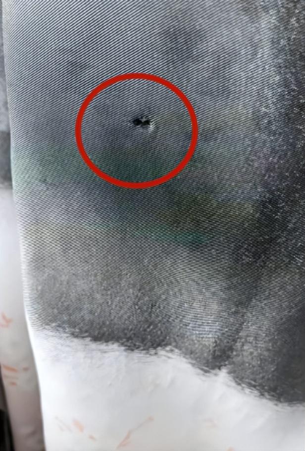 泸州一男子坐自家窗边玩耍遭枪击受重伤，官方：4人用气枪打鸟误伤人，已抓获