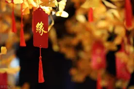 1982年属狗的人运势，82年属狗人一生运势怎么样图片