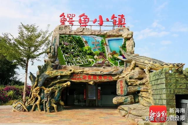 福利+n！周末来东方看“村BA”，吃喝玩购一网打尽！