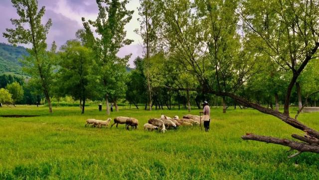 全国优秀！被国家认证的2处绝色水景，究竟有多美！