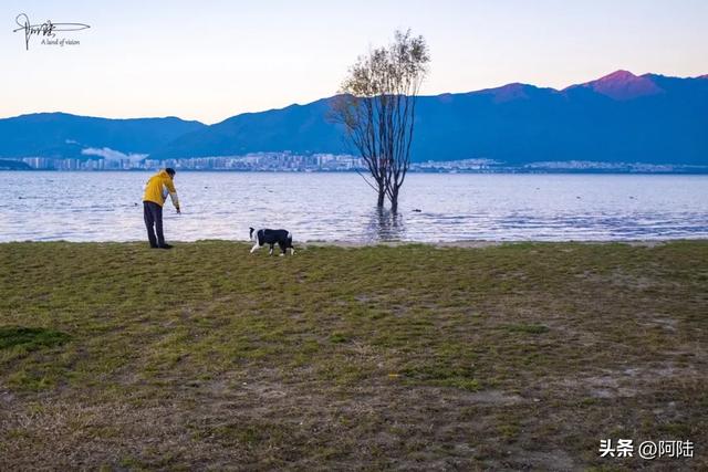 洱海的湿地公园很多，这几座孤岛风景不错，只是唯一的浮桥太晃荡