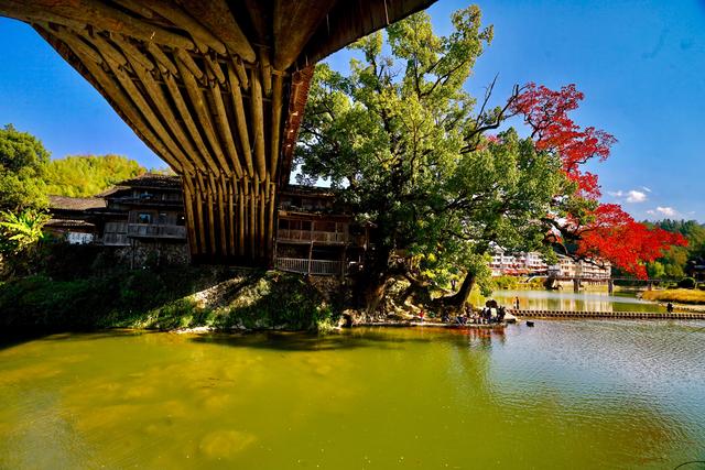 泰顺北涧桥：名知州，做知州，回道士，为民生，建廊桥