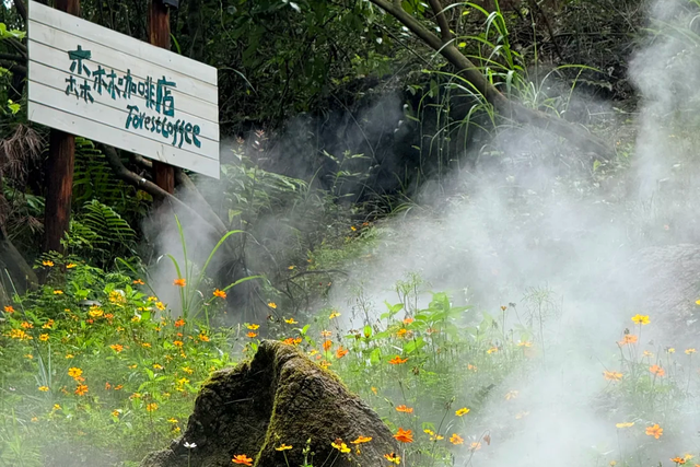 淡季来封神的地方，本地人清空收藏夹的的玩乐清单就看这篇了