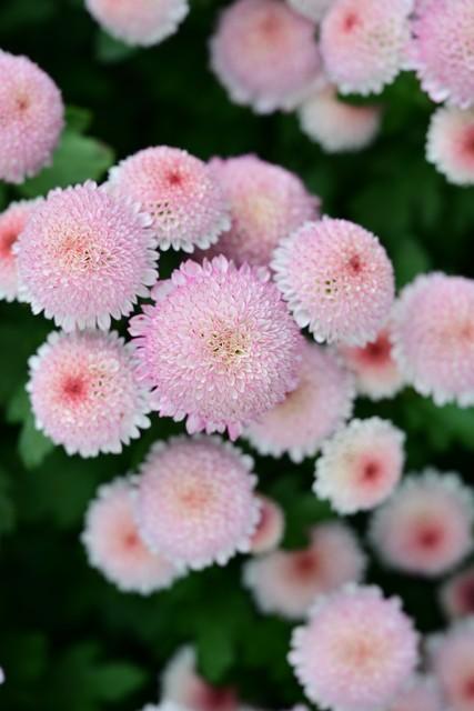 去了趟河南，忍不住想说：别轻易往开封跑，除非你摸透了这些门道