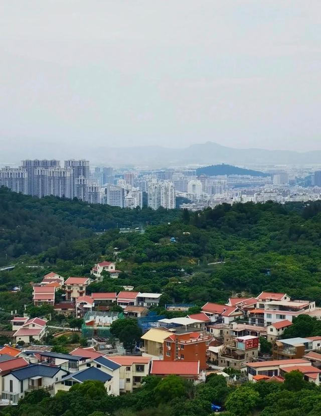 厦门东坪山社，藏在鹭岛绿肺东坪山上，福建首个近零碳排放示范区