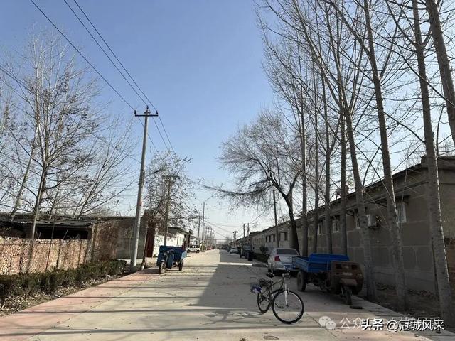 冠县乡韵·辛集镇饮马庄