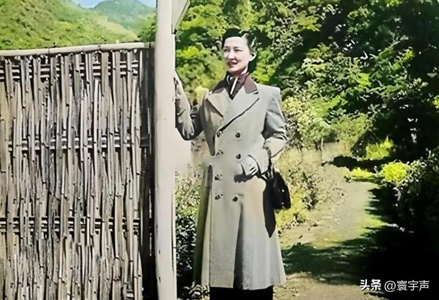张学良老婆赵一荻有多美？身材丰腴眉清目秀，难怪少帅痴迷不已