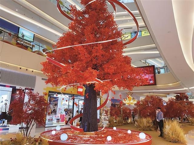 厦门秋意渐浓，快来这些地方体验别样秋韵→