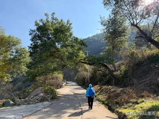 阳光明媚的冬日里,我们爬山去,逛陡坡村、看冬樱花,做晴朗的事