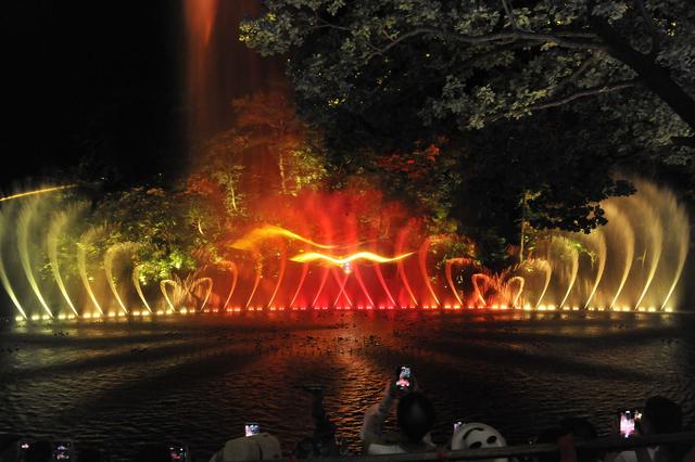 “好运莲莲 千山奇妙夜”水幕光影夜游璀璨启幕