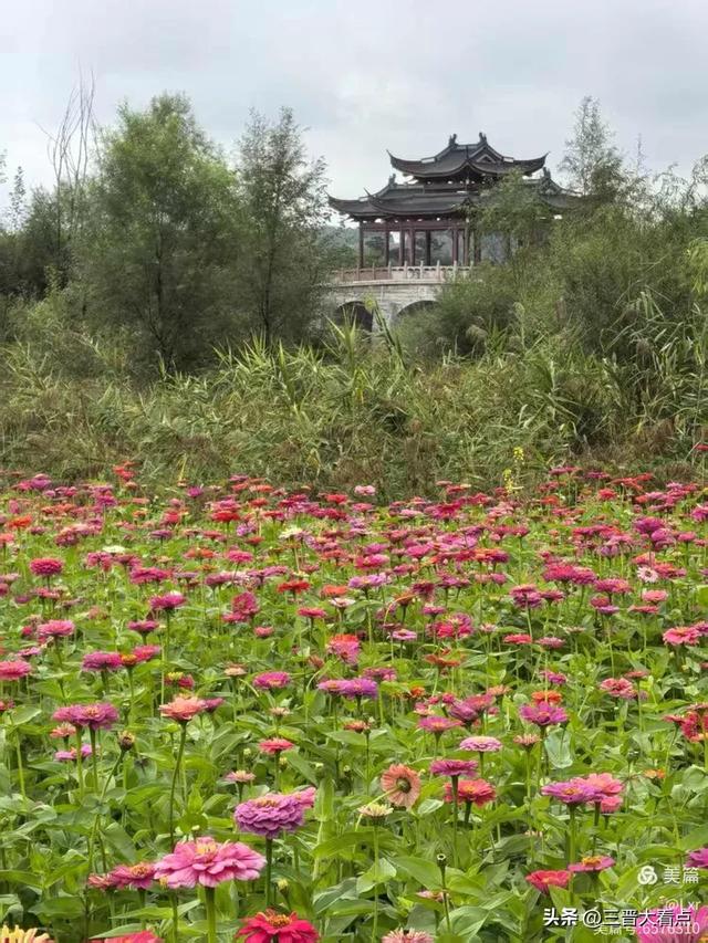 秋雨绵绵漳泽湖