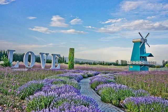 初冬逛沪郊！奉贤、崇明限时优惠来啦