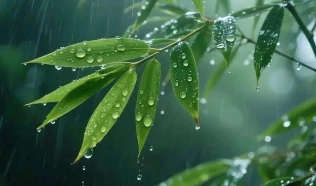 一场秋雨一场凉，秋天下雨朋友圈文案，这样发，超有感觉！