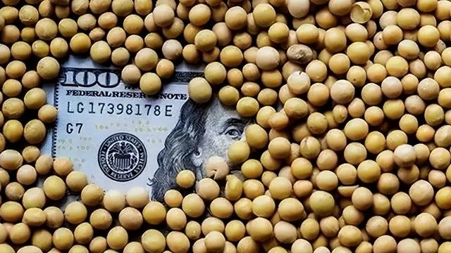 到手的肥肉飞了！巴西大豆疯狂溢价 中国反手砸130 万订单给阿根廷