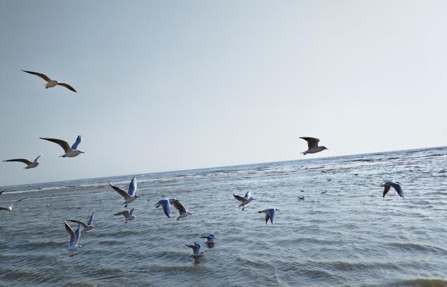 躲不过的心事，操碎了的心