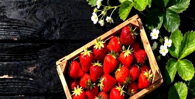 女人隐私为什么只给丈夫看？一位女性说出了看法！让你大开眼界！