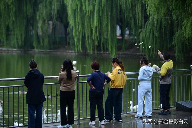 秋雨后，邂逅达活泉的浪漫