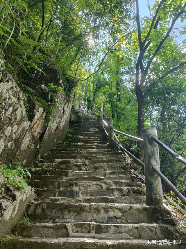 无为在歧路，贵州六日行（15）～梵净山
