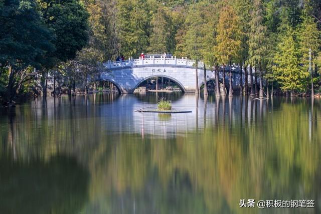 广州十大必打卡景点全攻略：从地标之巅到岭南秘境