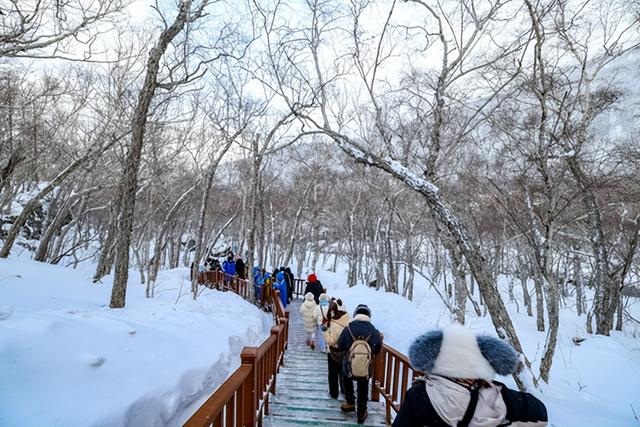 第一批大湾区游客，已经在吉林“定居”了？