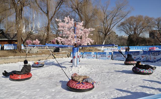 玉渊潭公园第十七届冰雪季启幕 全新百米冰滑梯领衔冬日畅玩