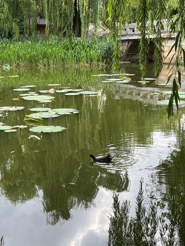 昆明翠湖公园，生态绿洲！