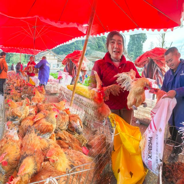 周末邛崃游记：藏在古镇里的烟火与温情