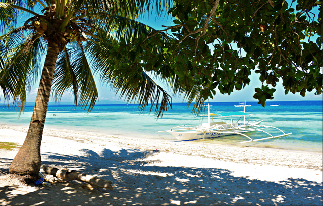 正式官宣！菲律宾对华免签！最全攻略看这里