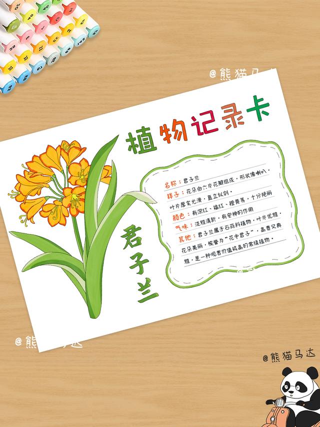植物记录卡手抄报合集 01 💐