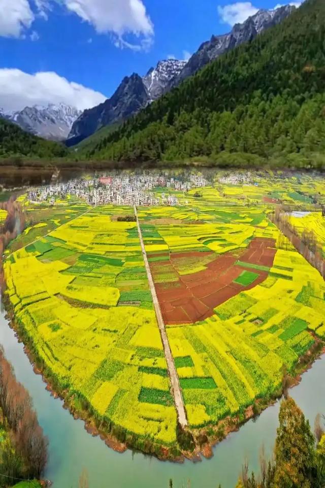 [云南 曲靖市罗平县]