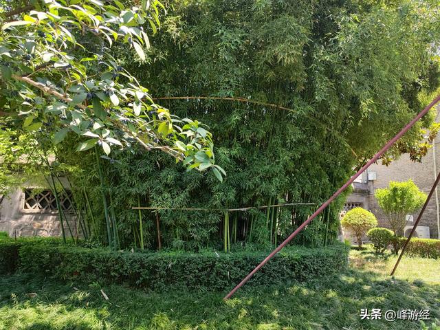 访杨虎城止园，西安事变的扣蒋指令由此发出