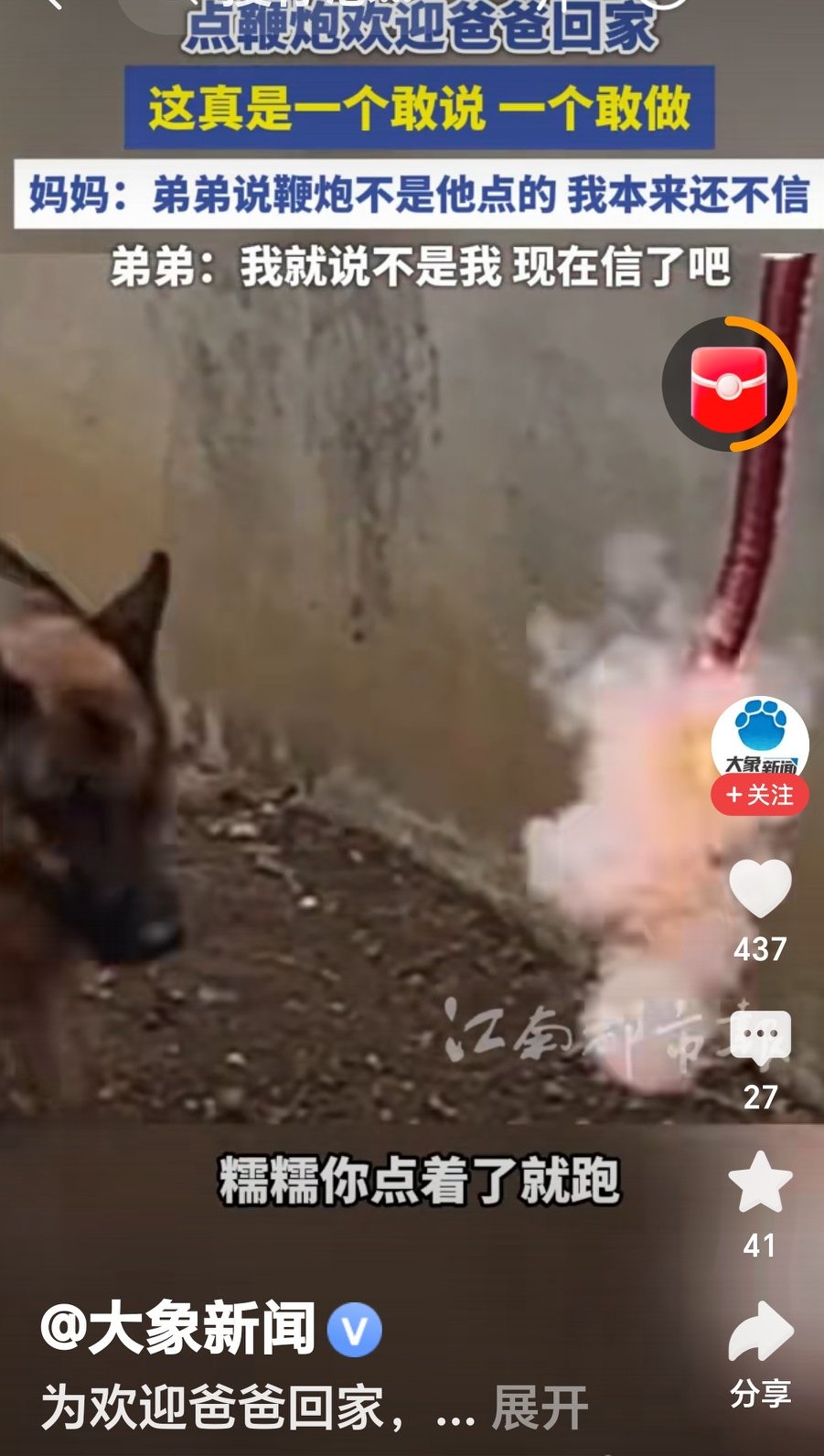 弟弟“神操作”!忽悠狗狗点鞭炮欢迎爸爸回家