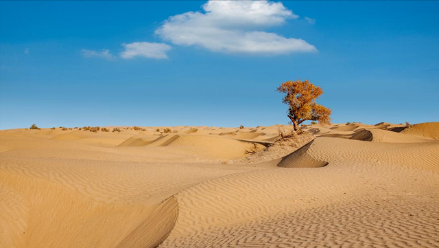 方圆200公里被黄沙覆盖，中国最大沙漠中，为何会有一座2万人小镇