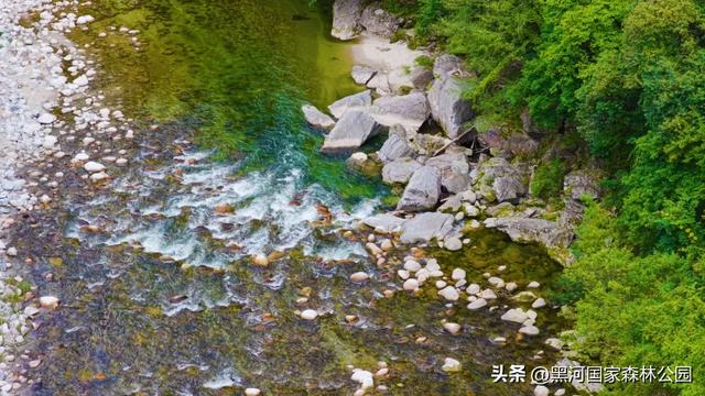 初秋限定美景，在黑河，听见了风与水的私语